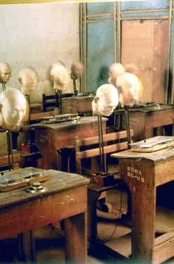 Fermentation of the mind, 1994 